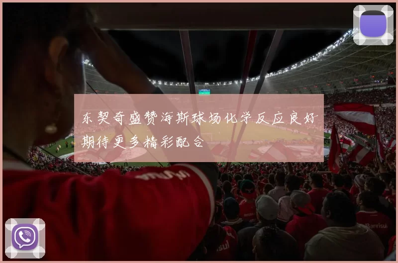 东契奇盛赞海斯球场化学反应良好期待更多精彩配合