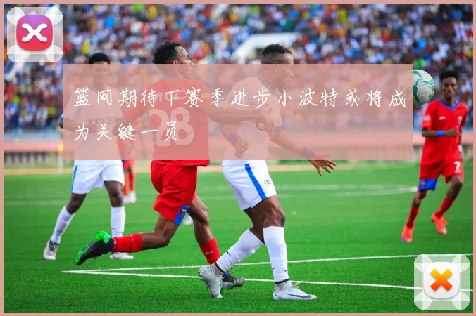 篮网期待下赛季进步小波特或将成为关键一员